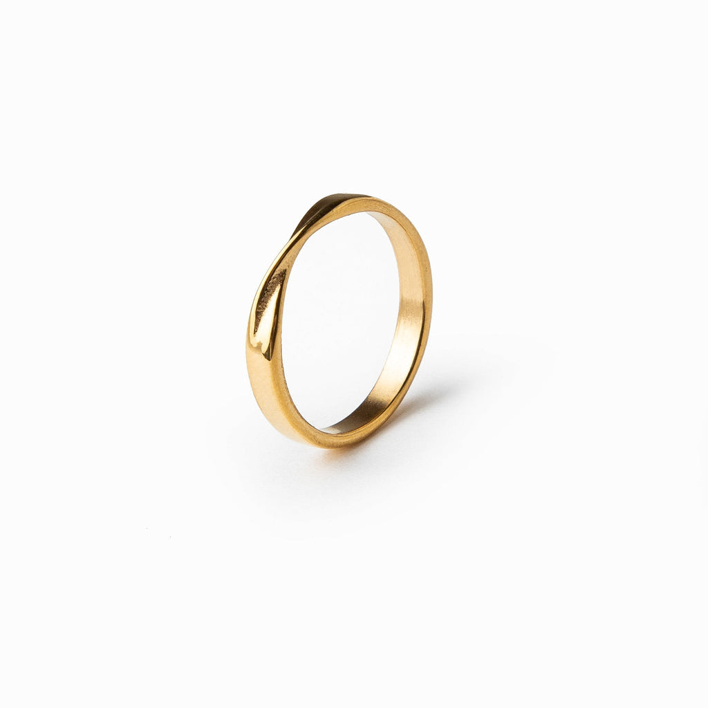 Anillo Brizz Detallado