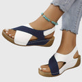 AINSLEY | SANDALIAS ORTOPÉDICAS