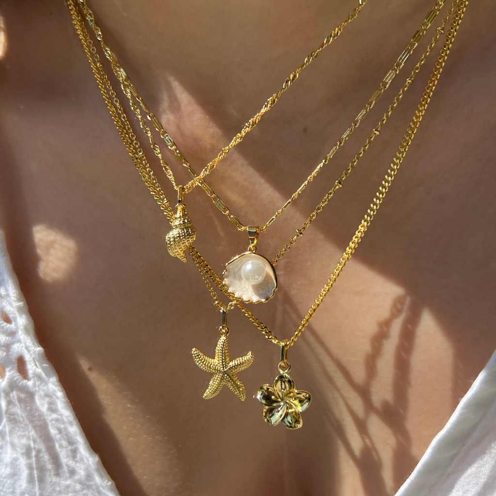 Collar Shell Marina