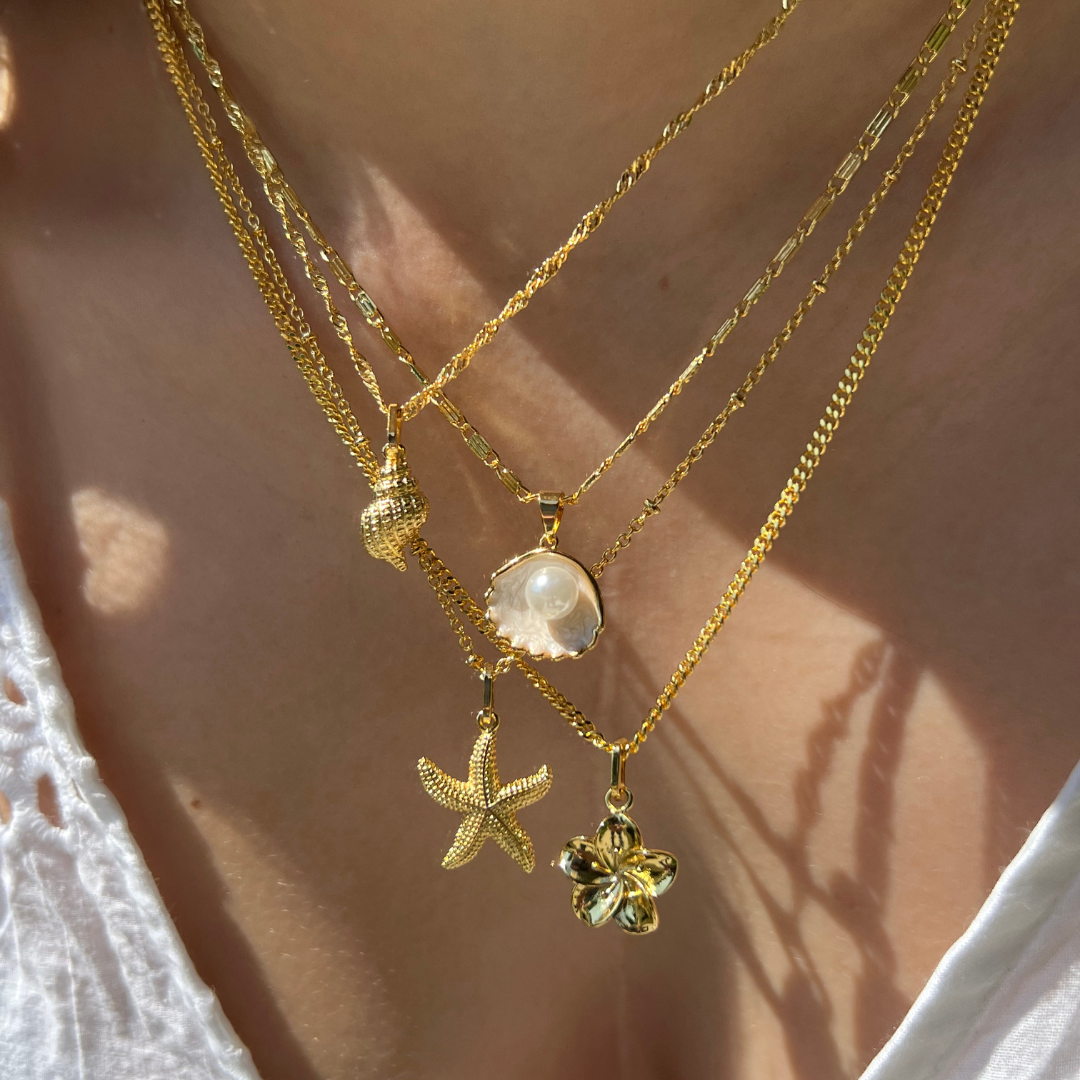 Collar Shell Marina