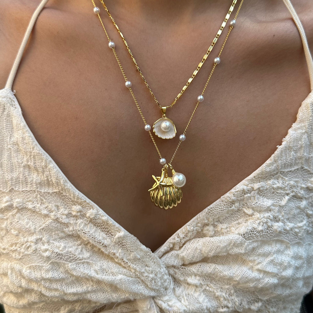 Collar Shell Marina